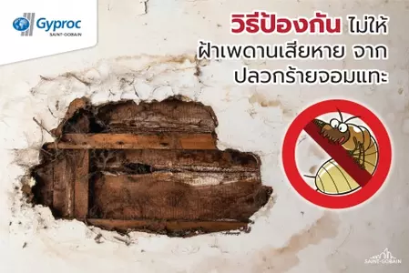 ปลวก