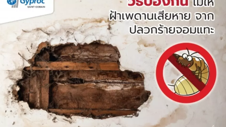 ปลวก