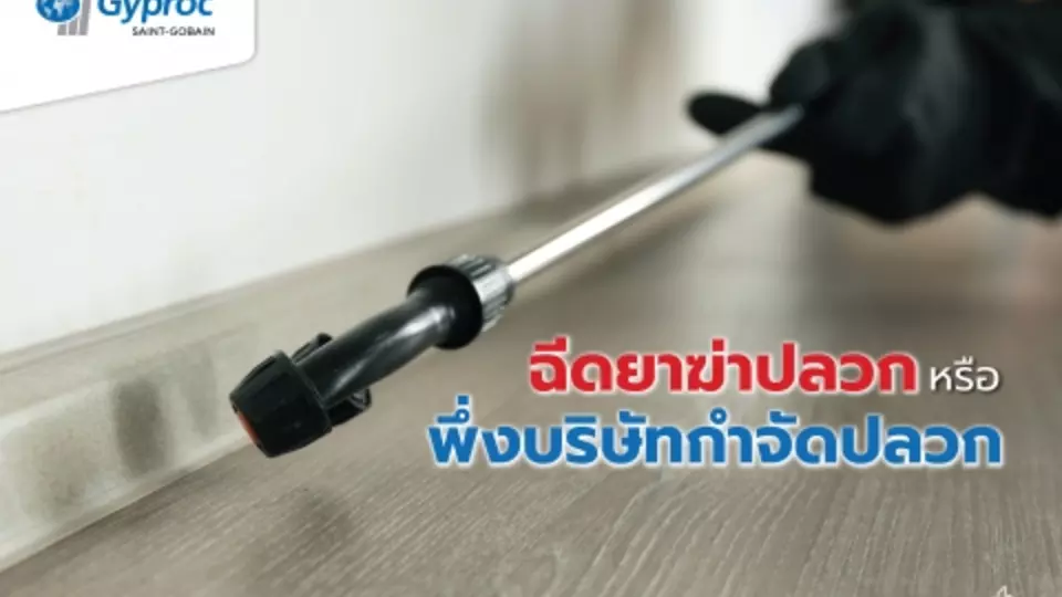 ฉีดยาฆ่าปลวก